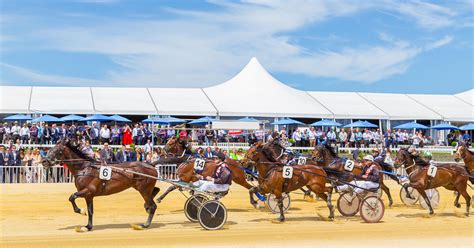 addington races|addington raceway christchurch.